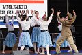DC Bevrijdingsdag Naaldwijk  020